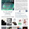 Du 11 au 14 juin 2026 Exposition ARTS MARCEAU – Montreuil
